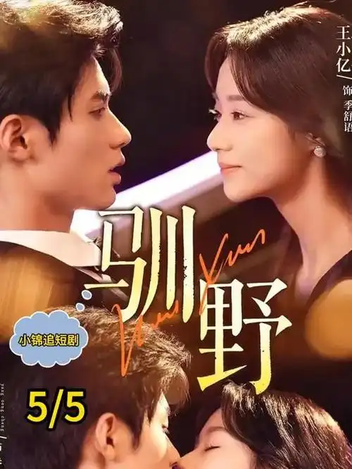 长夜将明 电视剧全集免费在线观看